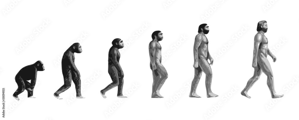 Evolution de l'homme n&b Evolution de l'homme n&b