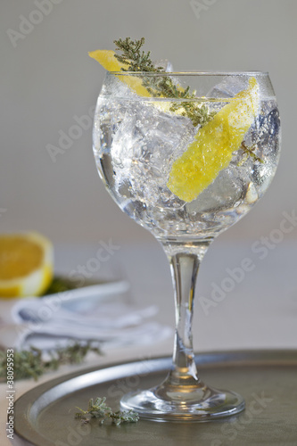 gintonic photo