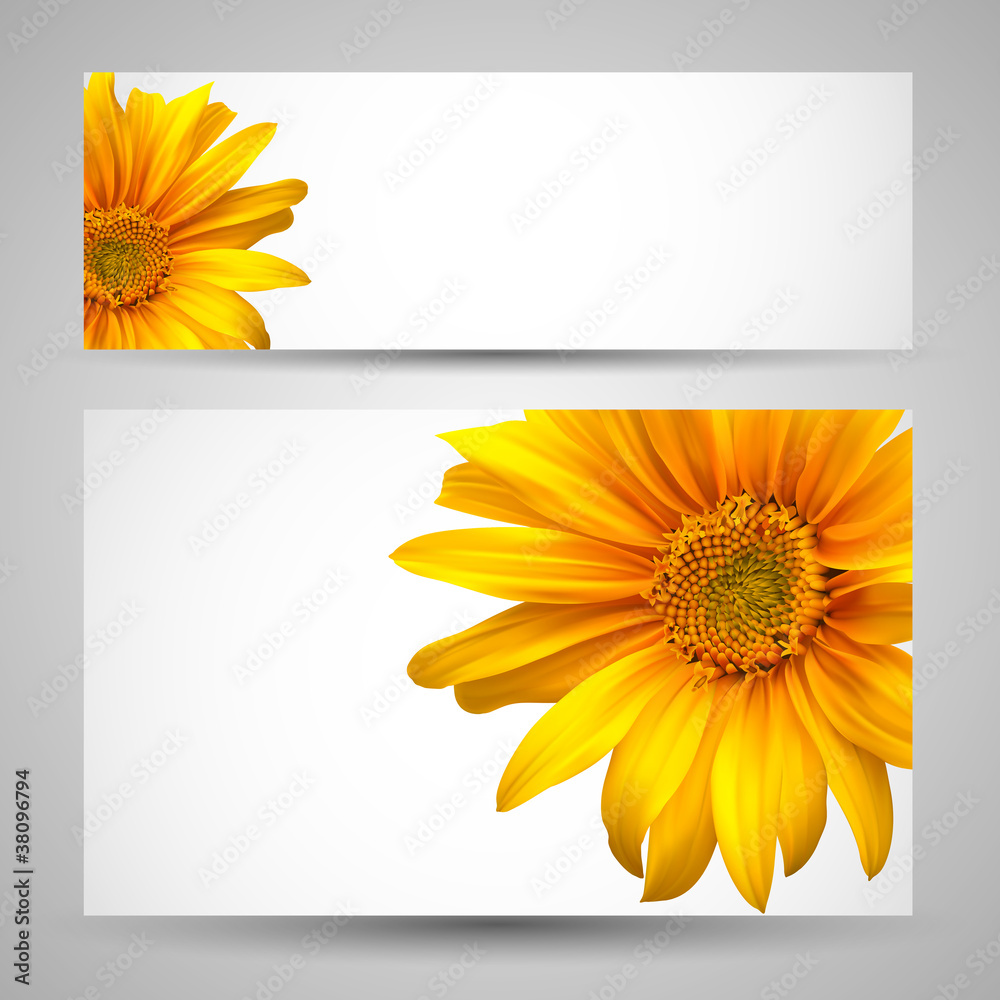 Obraz premium Flower vector background templates