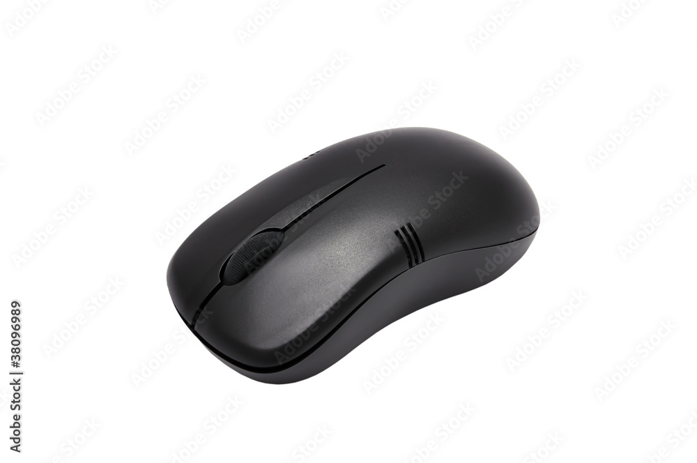 computer mouse computer mouse