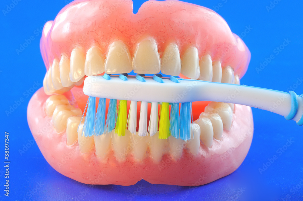 Obraz premium toothbrush