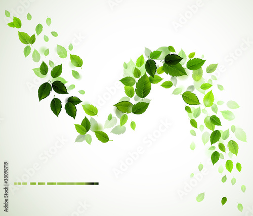 branch with fresh green leaves