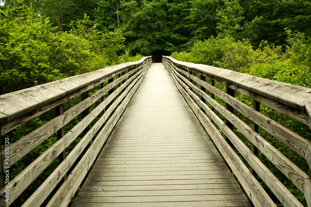 Wooden bridge through the forest Wooden bridge through the forest
