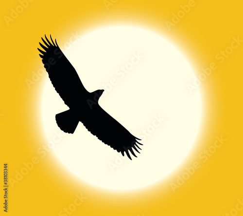 Vector silhouette of flying eagle on sun background