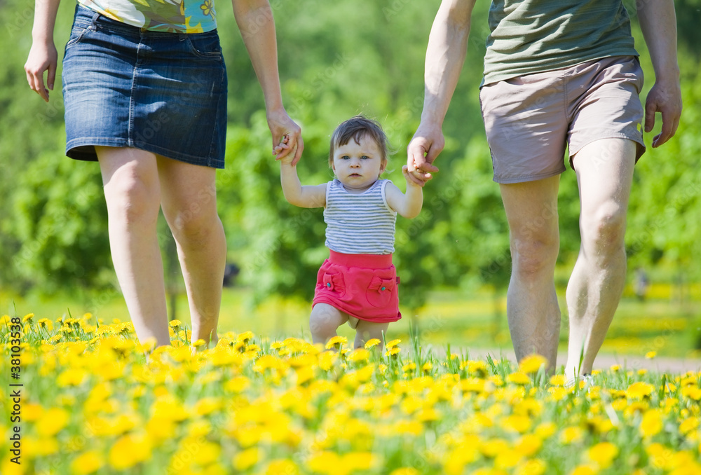 Fototapeta premium Family rest on the nature.