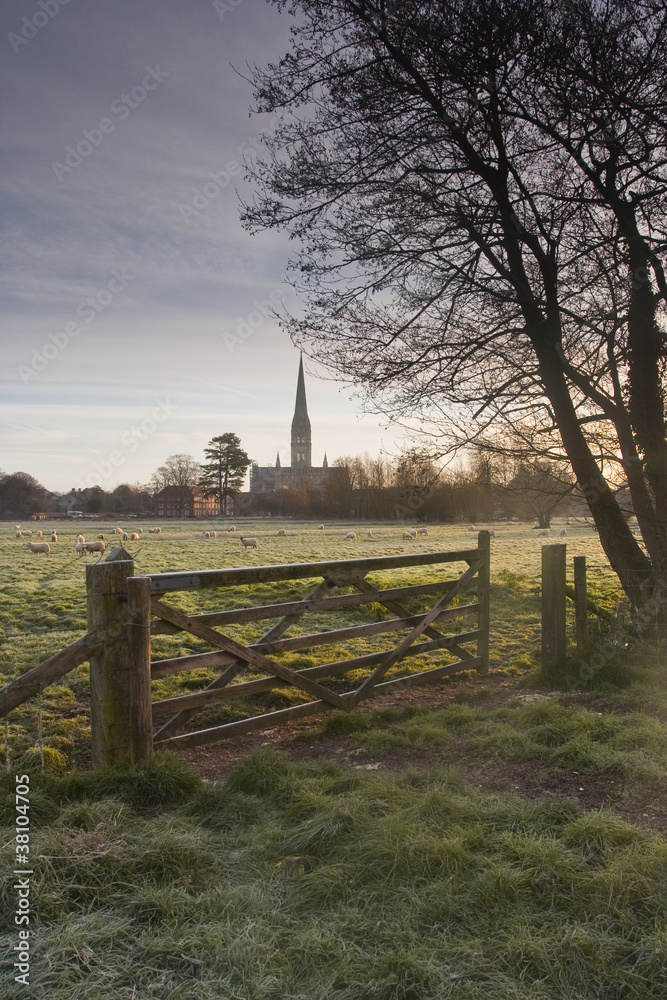 Salisbury cathedral on a winter morning