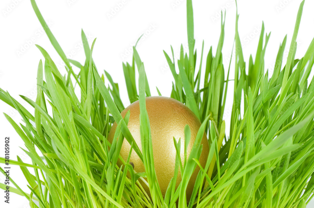 Fototapeta premium Gold egg in a green grass