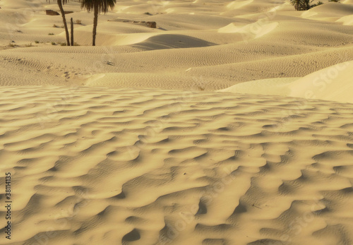 sand in the desert