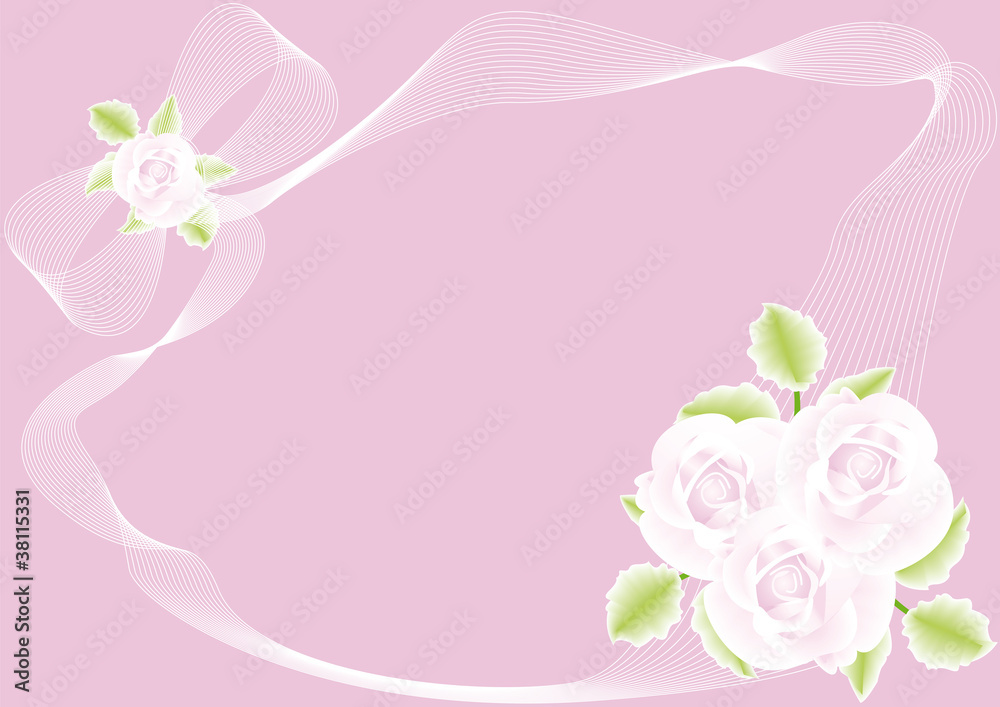 pink rose on pink background 6 pink rose on pink background 6