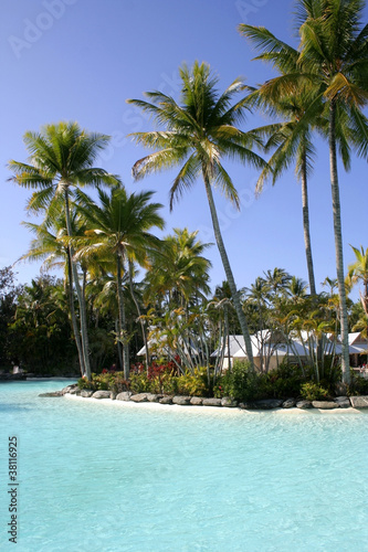 Tropical resort pool  Port Douglas  Queensland