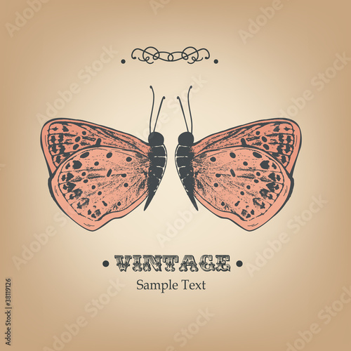 hand drawn vintage design with butterflies