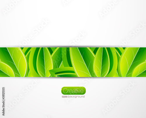 Vector nature leaves background