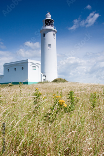 Quadro em tela Lighthouse at  Hurst point, Hampshire England