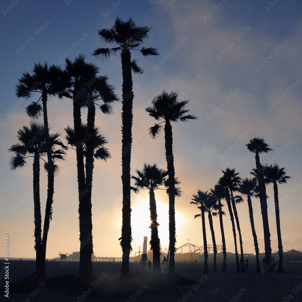 Obraz premium Sunset and palm trees, Santa Monica beach, Los Angeles, USA