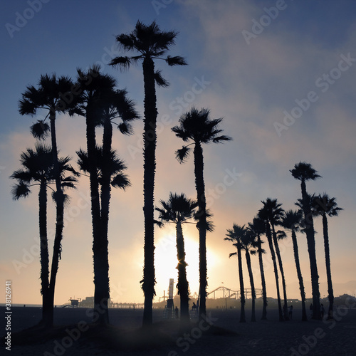 Sunset and palm trees, Santa Monica beach, Los Angeles, USA