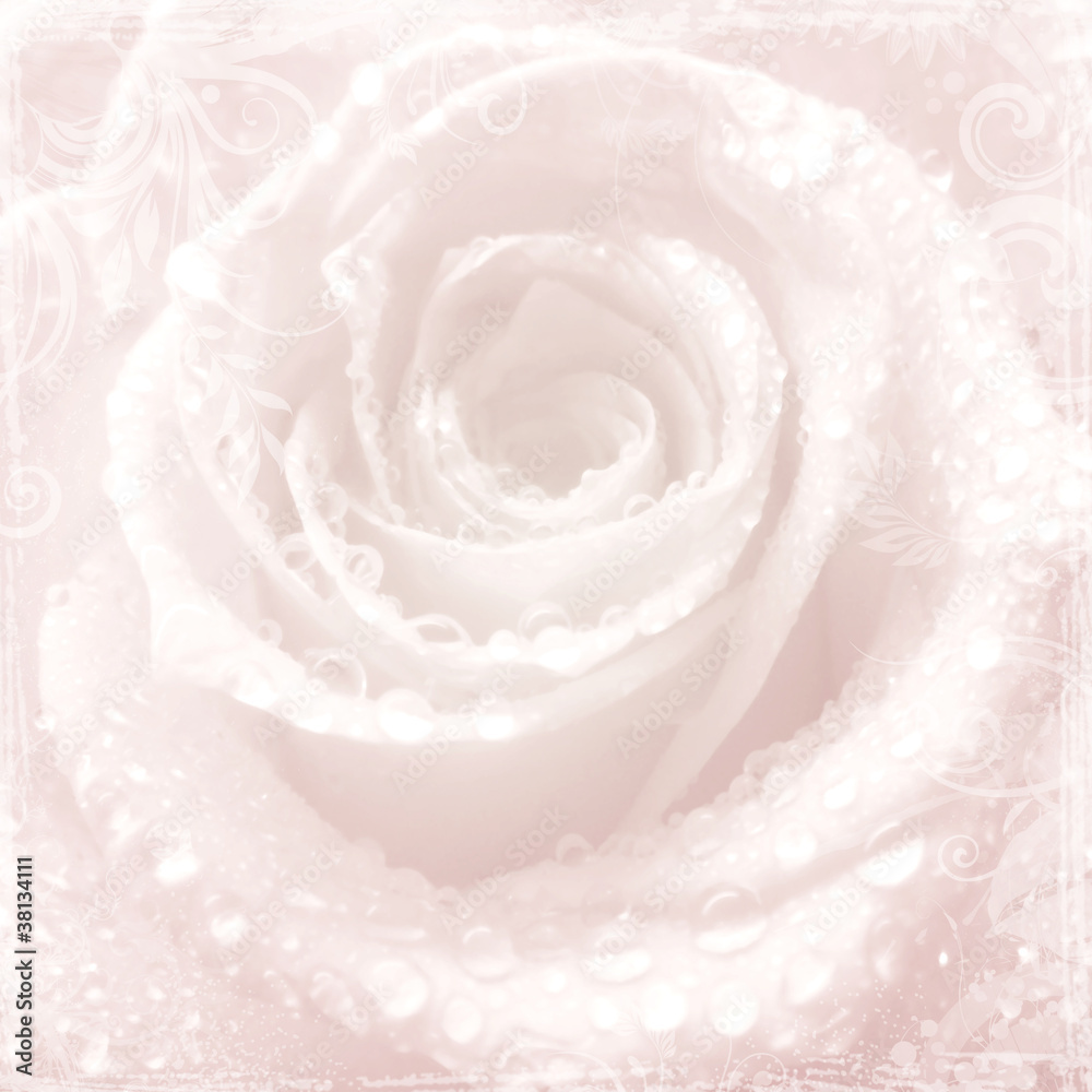 Tenderness pink wedding background with rose Tenderness pink wedding background with rose