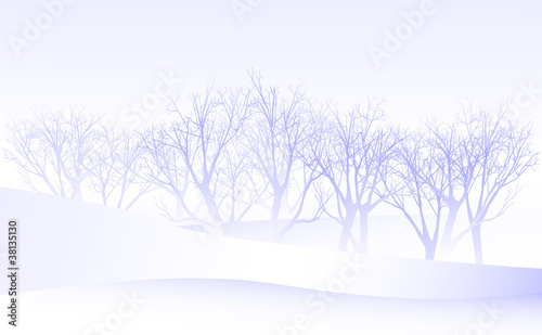 冬の森 © totoru