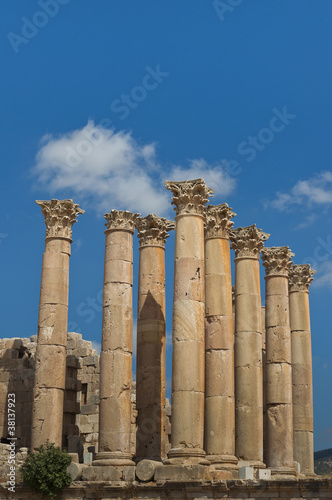 Columns from the Temple of Artemis, Jerash