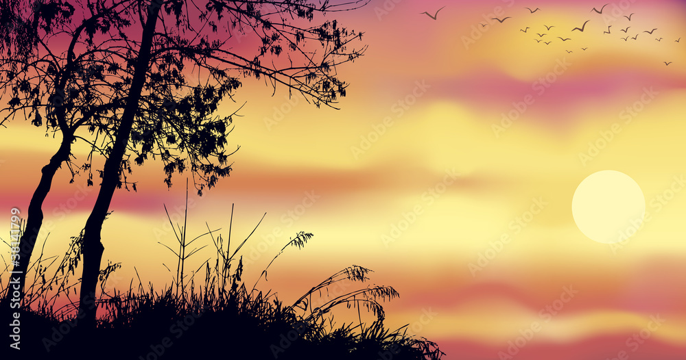 Vector background of evening landscape