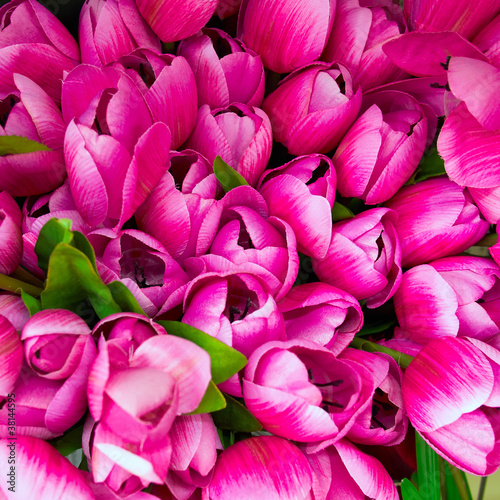 fake tulips, floral background
