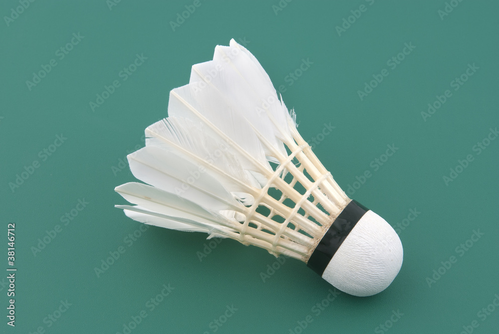 Badminton feather discount