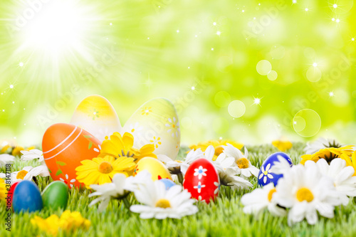 easter eggs on meadow before abstract green background