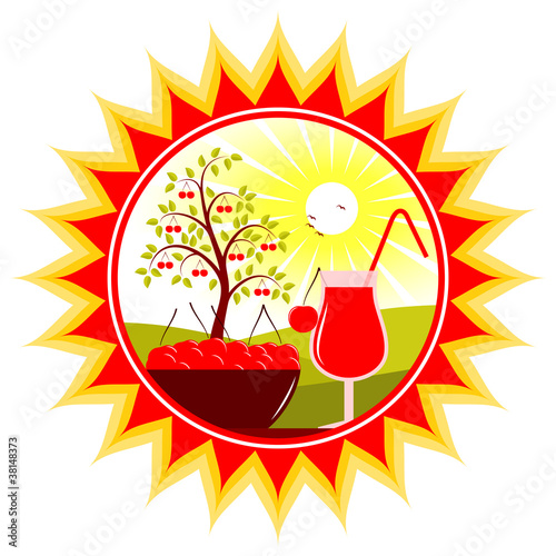 cherry harvest