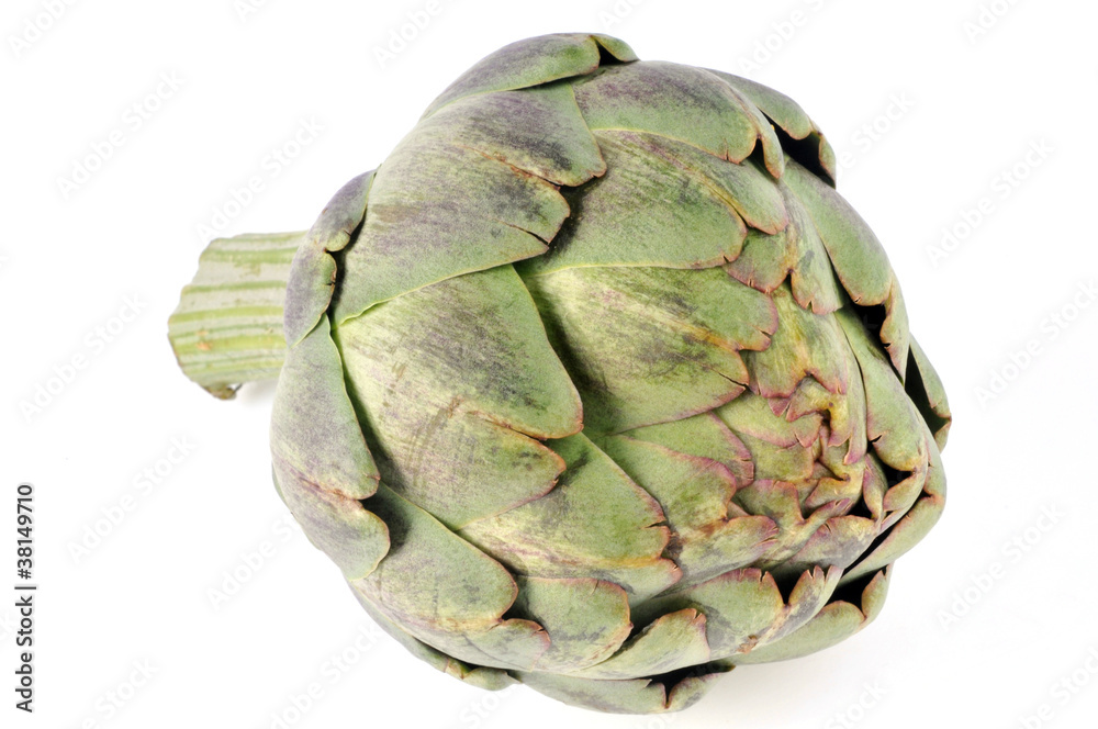 Obraz premium L'artichaut