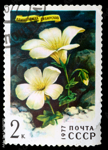 Postage Stamp