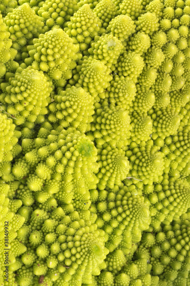 Un chou romanesco Un chou romanesco