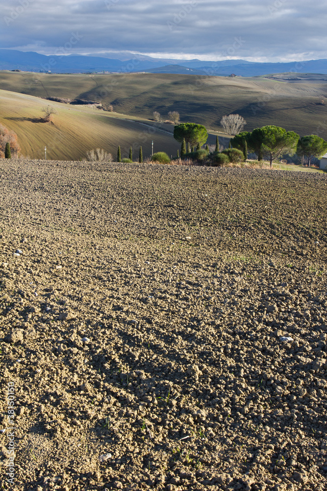 Tuscan landscape in winter, Val d'Orcia (Italy).