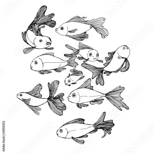 A group of fish