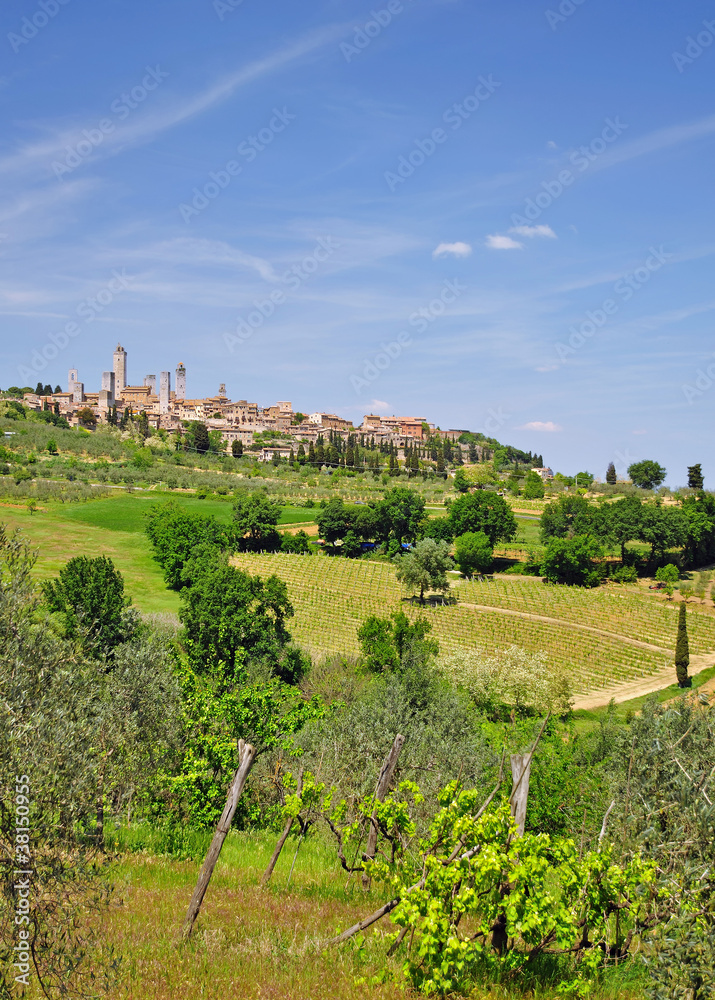 Blick auf das bekannte San Gimignano in der Toskana
