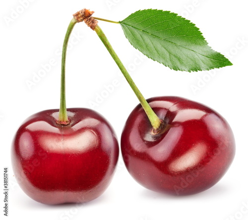 Two perfect sweet cherries with the leaf.