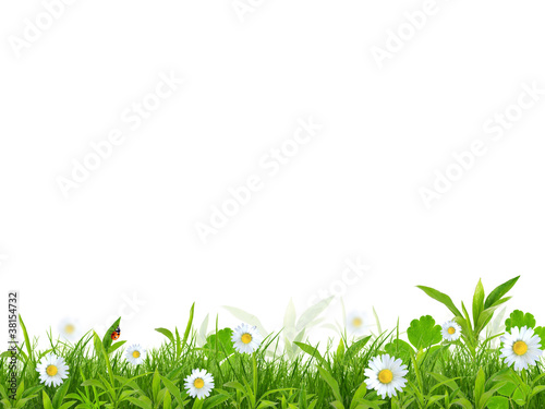 Beautiful spring background...