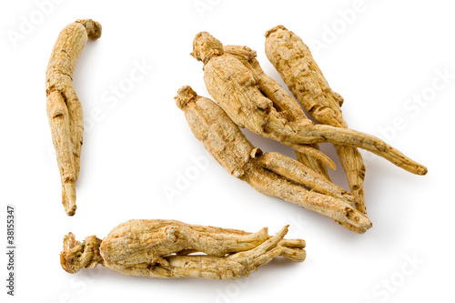 White Ginseng (Panax ginseng)