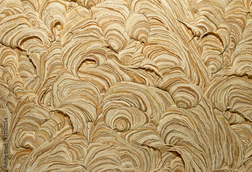 Close up image of wasp nest photo