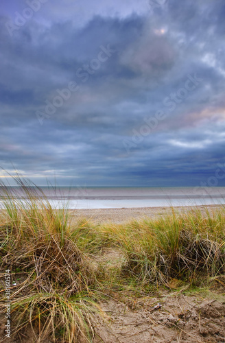 Grassy sand dunes during sunset