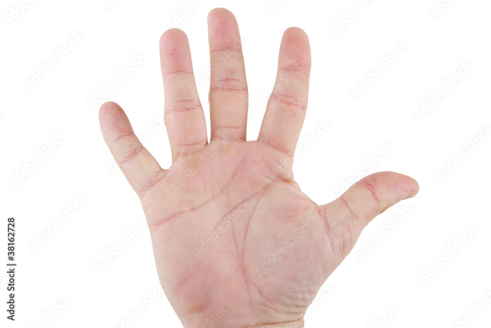 les cinq doigts de la main sur fond blanc les cinq doigts de la main sur fond blanc