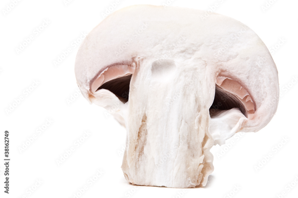 Naklejka premium fresh mushroom