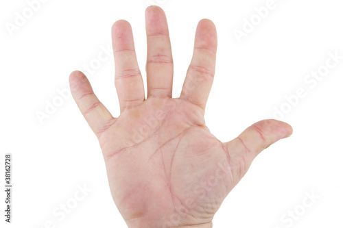 les cinq doigts de la main sur fond blanc