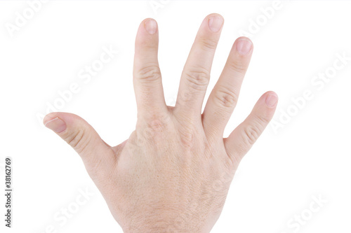 main ouverte avec les cinq doigts sur fond blanc