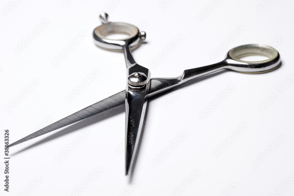 scissors on a white background scissors on a white background