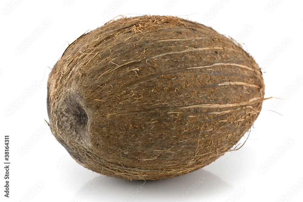 Coconut Coconut
