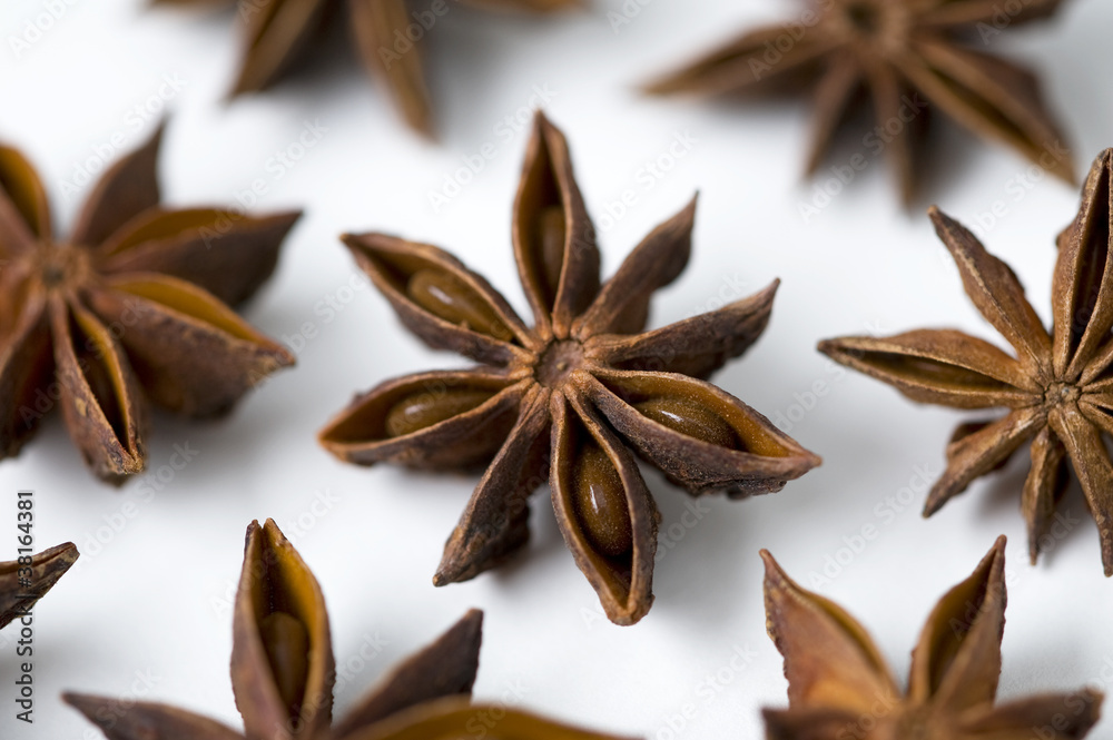 star anise star anise