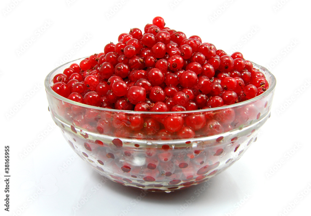 Isolated red currant Isolated red currant