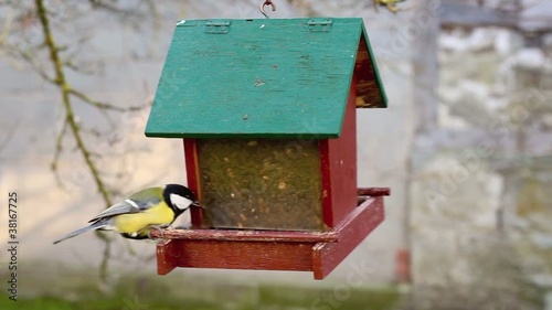 Vogelhäuschen und  Meisen