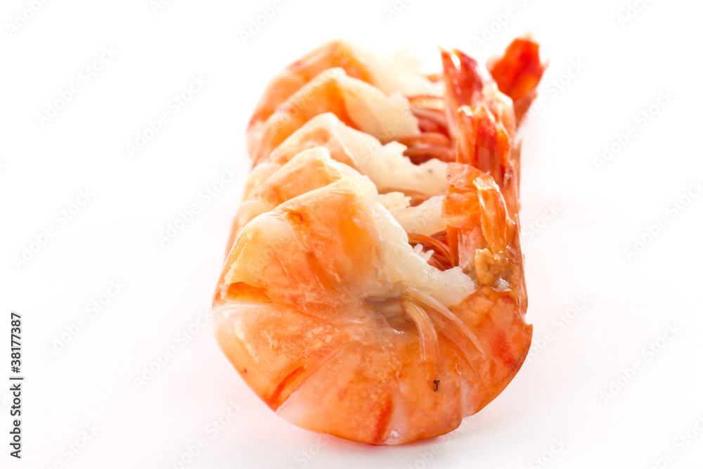 Shrimp