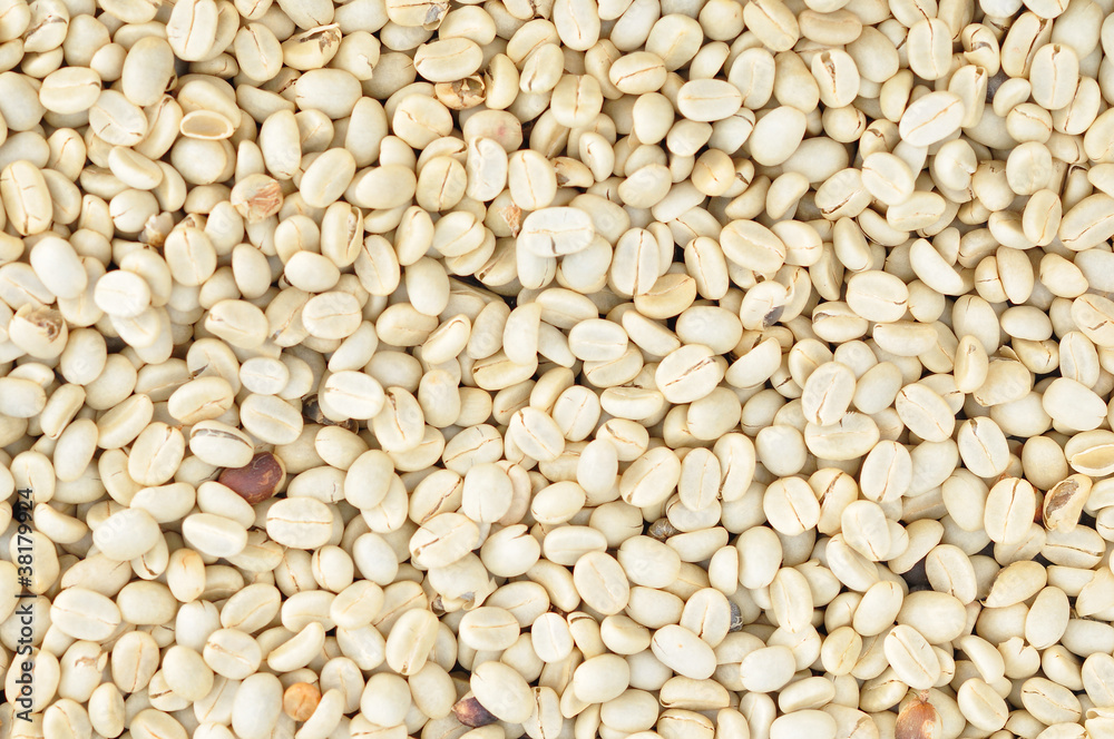 Coffee bean Coffee bean