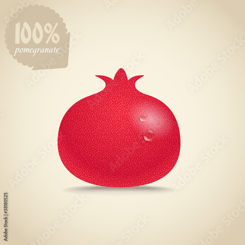 Cute fresh red pomegranate illustration